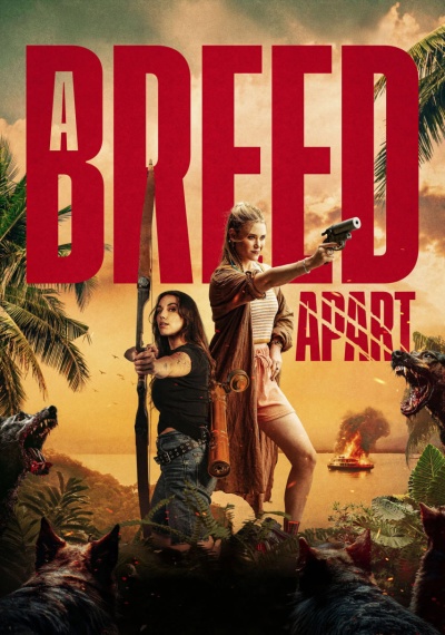 Фильмы онлайн